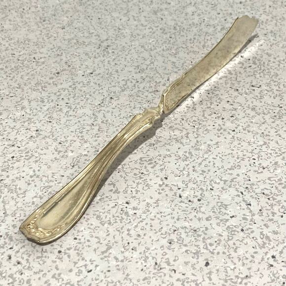 Oneida Silverplate Twisted Handle Butter Knife Spreader Irving Garland 1916 - Picture 1 of 8